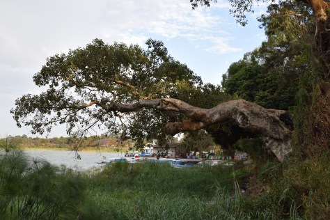 Lac Tana, Bahar Dar, Ethiopie